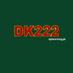 Dk222 game